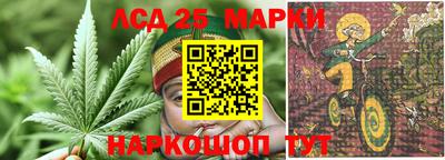 гашик Шебекино