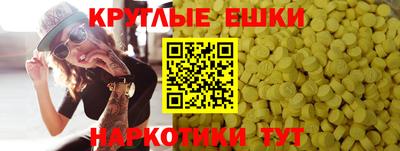 гашик Шебекино