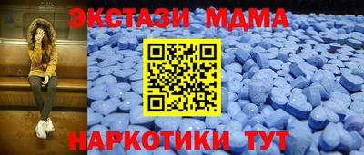 крисы Шахты